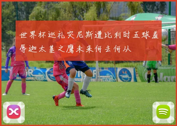 世界杯巡礼突尼斯遭比利时五球羞辱迦太基之鹰未来何去何从