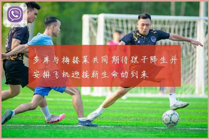 多库与梅赫莱共同期待孩子降生并安排飞机迎接新生命的到来