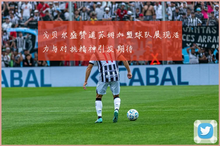 戈贝尔盛赞道苏姆加盟球队展现活力与对抗精神引发期待
